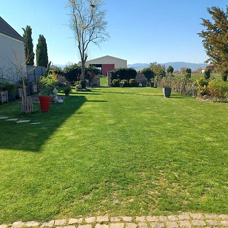 Bed and Breakfast Cote Cour Bischwihr Colmar Екстер'єр фото