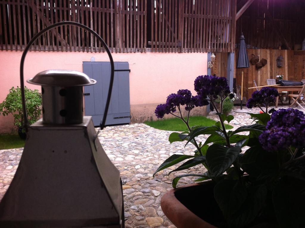 Bed and Breakfast Cote Cour Bischwihr Colmar Екстер'єр фото