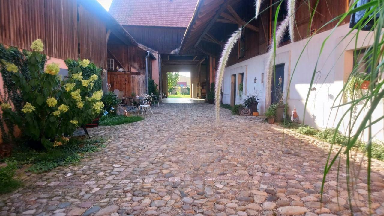 Bed and Breakfast Cote Cour Bischwihr Colmar Екстер'єр фото